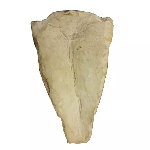 24 cm Royal Mask – Handcrafted Egyptian Pharaoh Wall Art